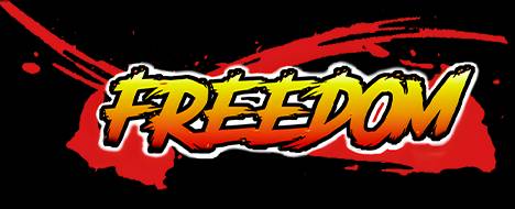 Freedom oldschool 2004-2014 - Metin2 PvP Server Banner | Official-Like | Max Lv 120